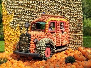 Kuerbisbus